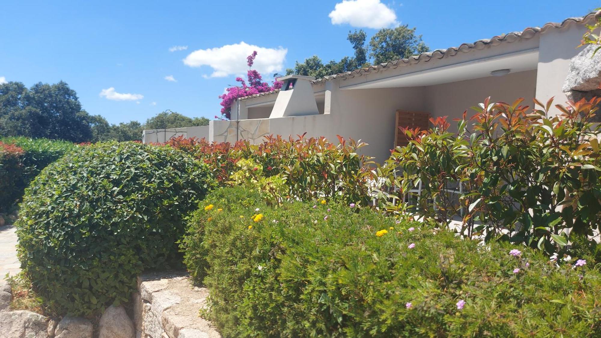 Residence Les Pavillons Du Belvedere Porto-Vecchio  Eksteriør billede