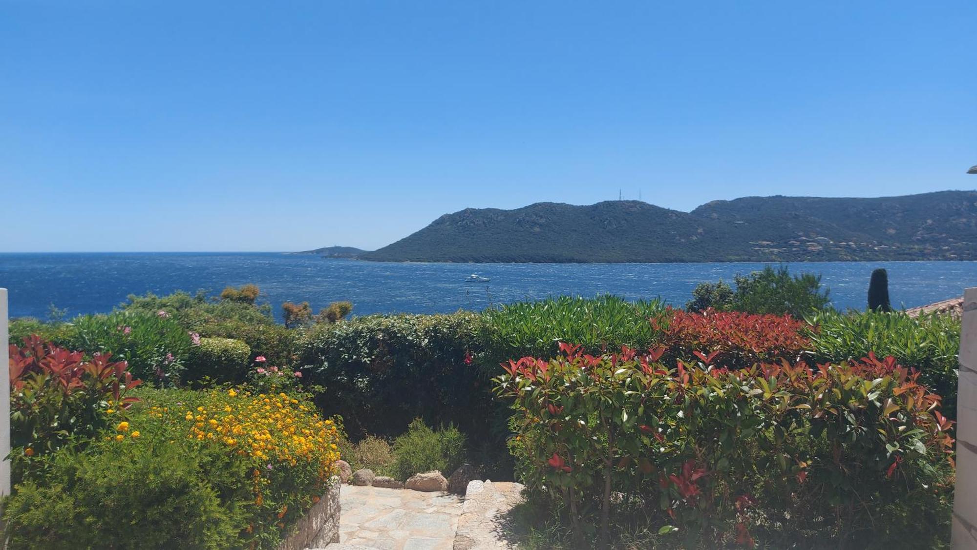 Residence Les Pavillons Du Belvedere Porto-Vecchio  Eksteriør billede